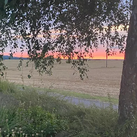 Petryhof Мёрсдорф