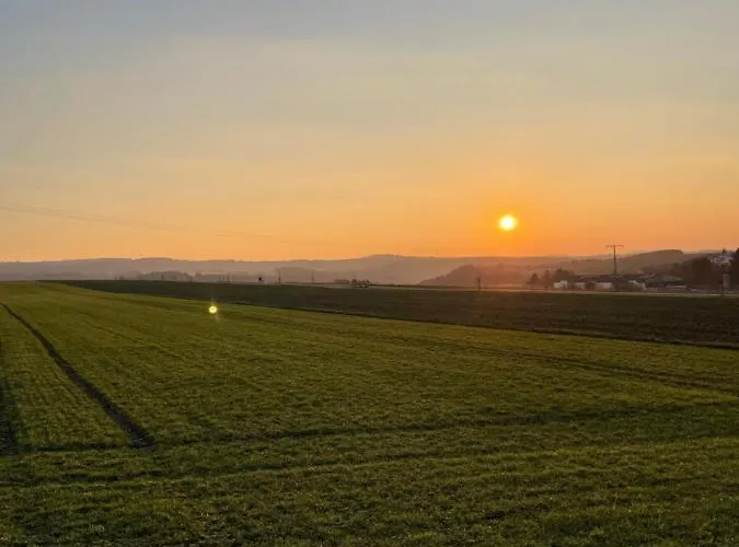 Petryhof Kwatera prywatna *