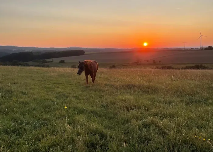 Petryhof Kwatera prywatna